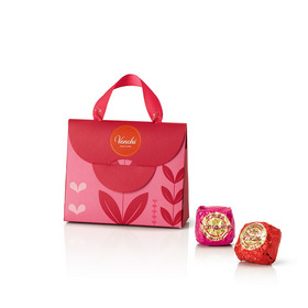 【メッセージカードプレゼント】ミニバッグ 2026 Mother's day