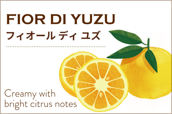 Venchi ジェラートのご紹介<3月20日更新>